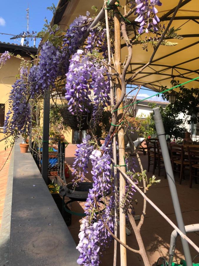 Touristic Apartment "Agata" Sirmione Exteriör bild